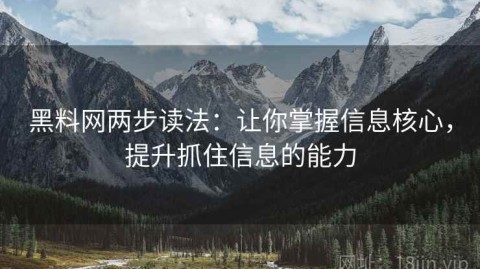 黑料网两步读法：让你掌握信息核心，提升抓住信息的能力