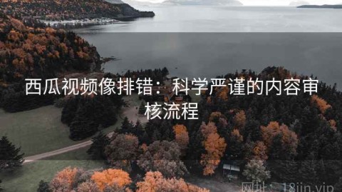 西瓜视频像排错：科学严谨的内容审核流程