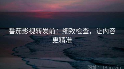 番茄影视转发前：细致检查，让内容更精准
