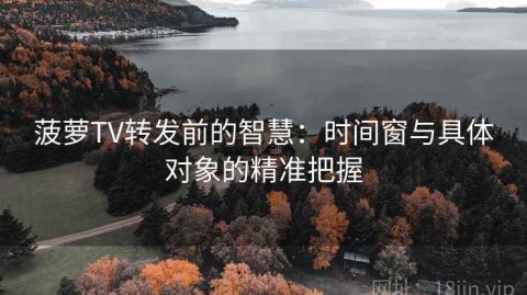 菠萝TV转发前的智慧：时间窗与具体对象的精准把握